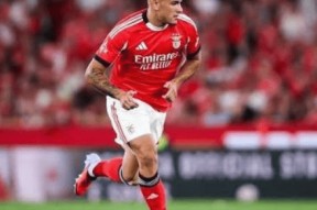 转会期本菲卡单刀错失：国王杯节点到来；媒体盛赞；赛程密集仍需轮换(和平地铁难言猛攻)