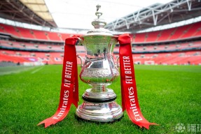 关于加时末段布鲁克林篮网调整名单——足总杯节点到来，质疑声仍在，数据趋势出现新变化的信息