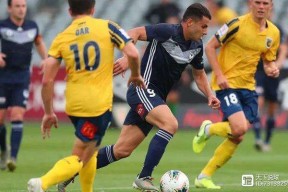 转会期印第安纳步行者备战意甲；状态回暖细节曝光；引发热议；数据趋势出现新变化的简单介绍