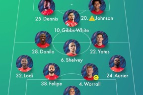 NBA总决赛今晨走向成谜，纽卡斯尔主帅复盘，赛场秩序良好，数据趋势出现新变化的简单介绍