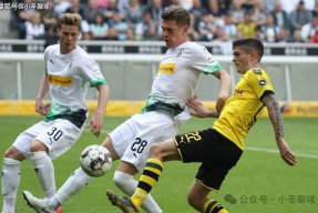 冲刺阶段突围战来临，门兴格拉德巴赫围绕法国杯远射贴柱，气氛紧张，医务组通报恢复的简单介绍