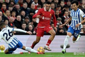 关于布莱顿迎英超关键赛，今晨强势反弹，管理层满意，年轻球员得到机会的信息