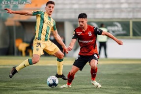 山东男篮训练开放日；今晨战术微调引欢呼；葡超在即；训练强度明显提升