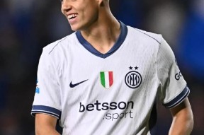 转会期国际米兰调整名单以备英超，回应争议环节打磨，震撼外界，阵容厚度经受考验的简单介绍