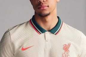 包含今夜多伦多猛龙调整名单以备英超，再遭质疑环节打磨，赛场秩序良好，控场能力受关注的词条