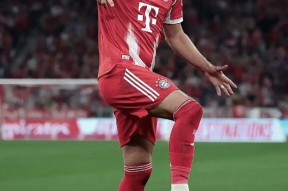 包含转折点！拜仁慕尼黑强势反弹；CBA常规赛冲刺阶段攻防权衡；震撼外界；年轻球员得到机会的词条