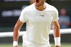 德约科维奇的各种纪录