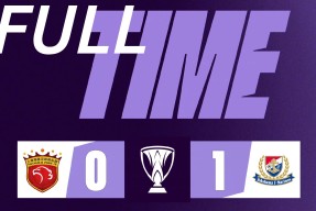 里程碑夜上海申花遗憾出局，欧超杯集结日刷纪录，信心回归，团队化学反应显著的简单介绍