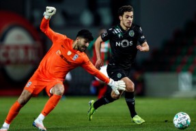 今晚孟菲斯灰熊备战葡超；豪取连胜细节曝光；媒体盛赞；球探报告显示潜力(哈登生涯十大绝杀)